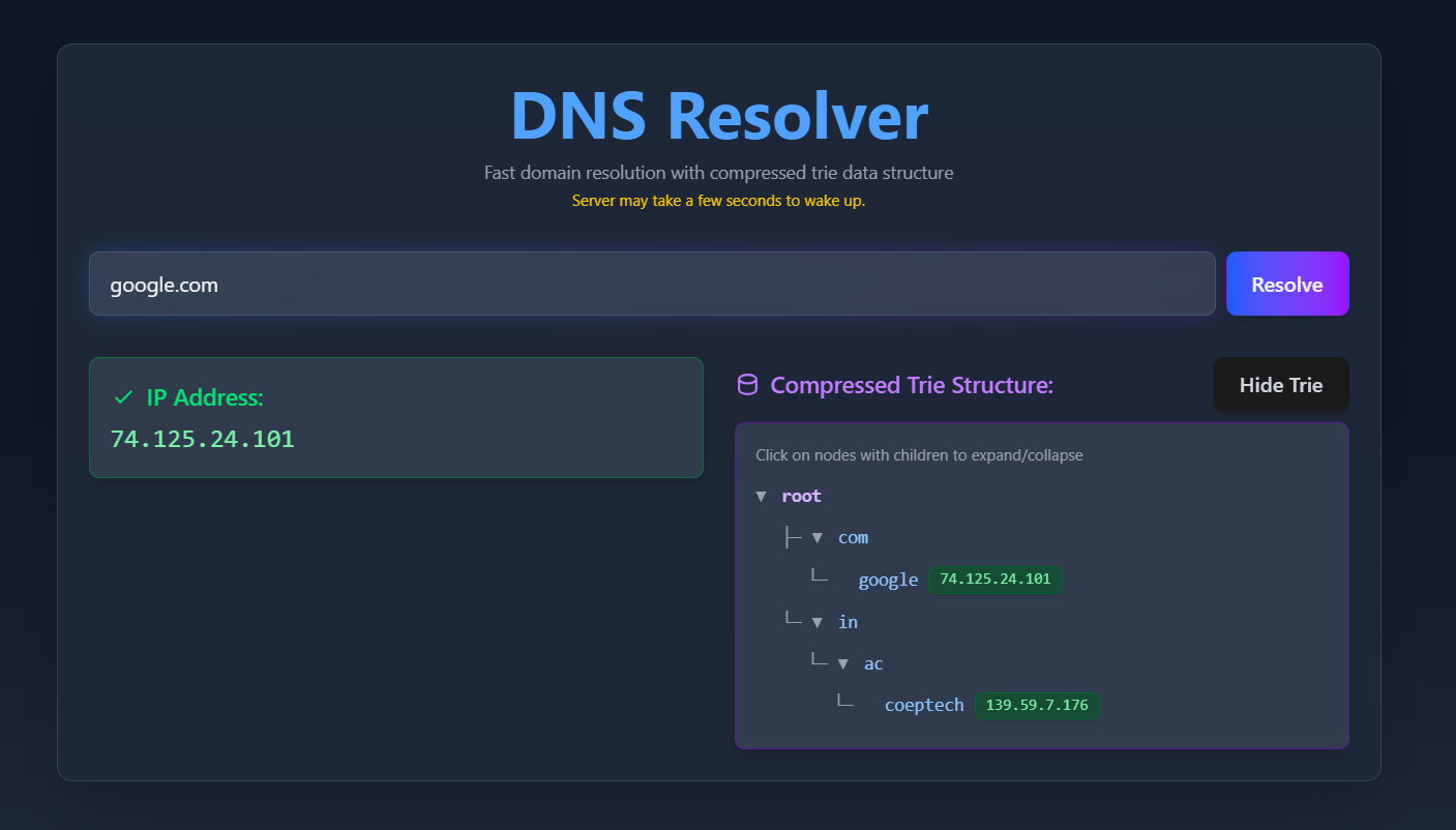 DNS Resolver